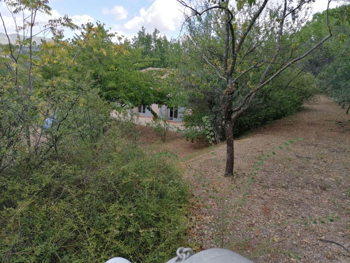 Petit Coin De Paradis En Provence 阿尔卑斯 外观 照片